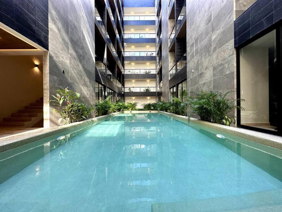Musa Del Carmen 309 - Rooftop Pool View & Sky Bar By Solmar Apartamento