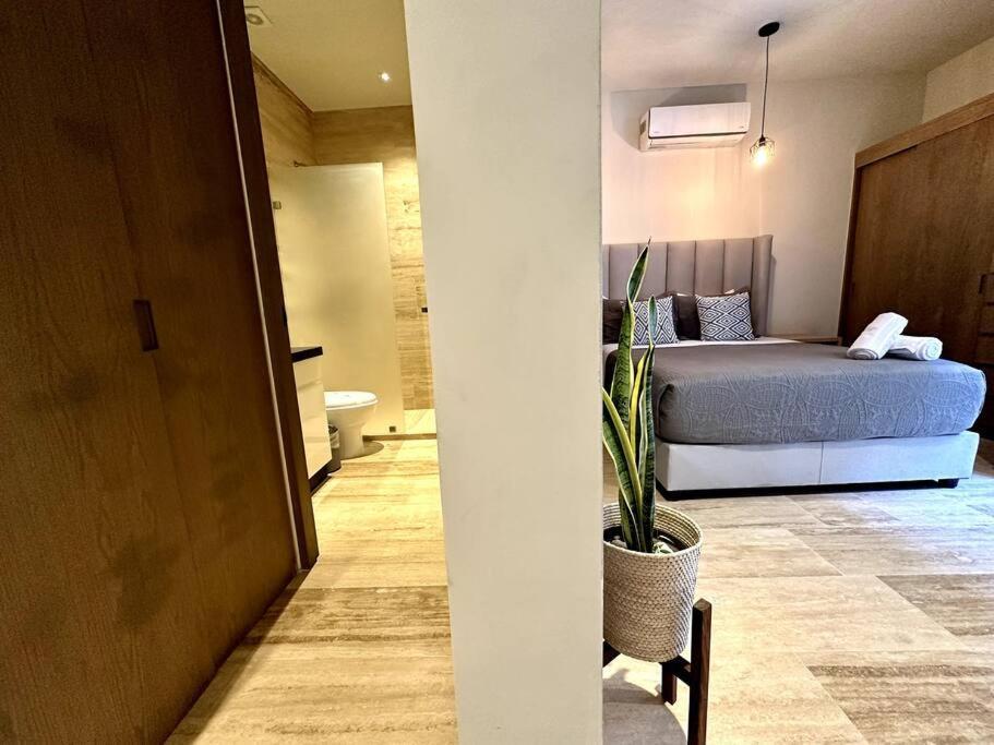 Musa Del Carmen 309 - Rooftop Pool View & Sky Bar By Solmar Apartamento *