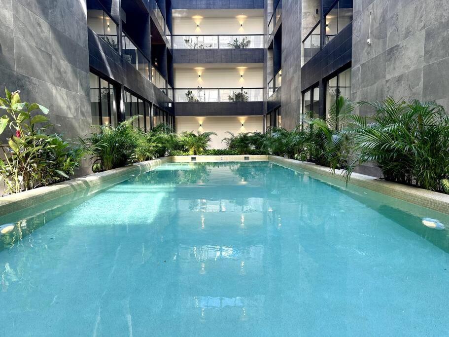 Musa Del Carmen 309 - Rooftop Pool View & Sky Bar By Solmar Playa del Carmen